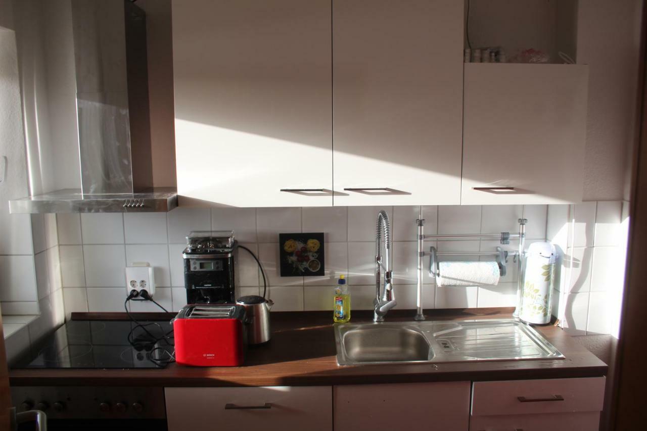 Ziebigk Appartement Deluxe Dessau-Rosslau Eksteriør billede